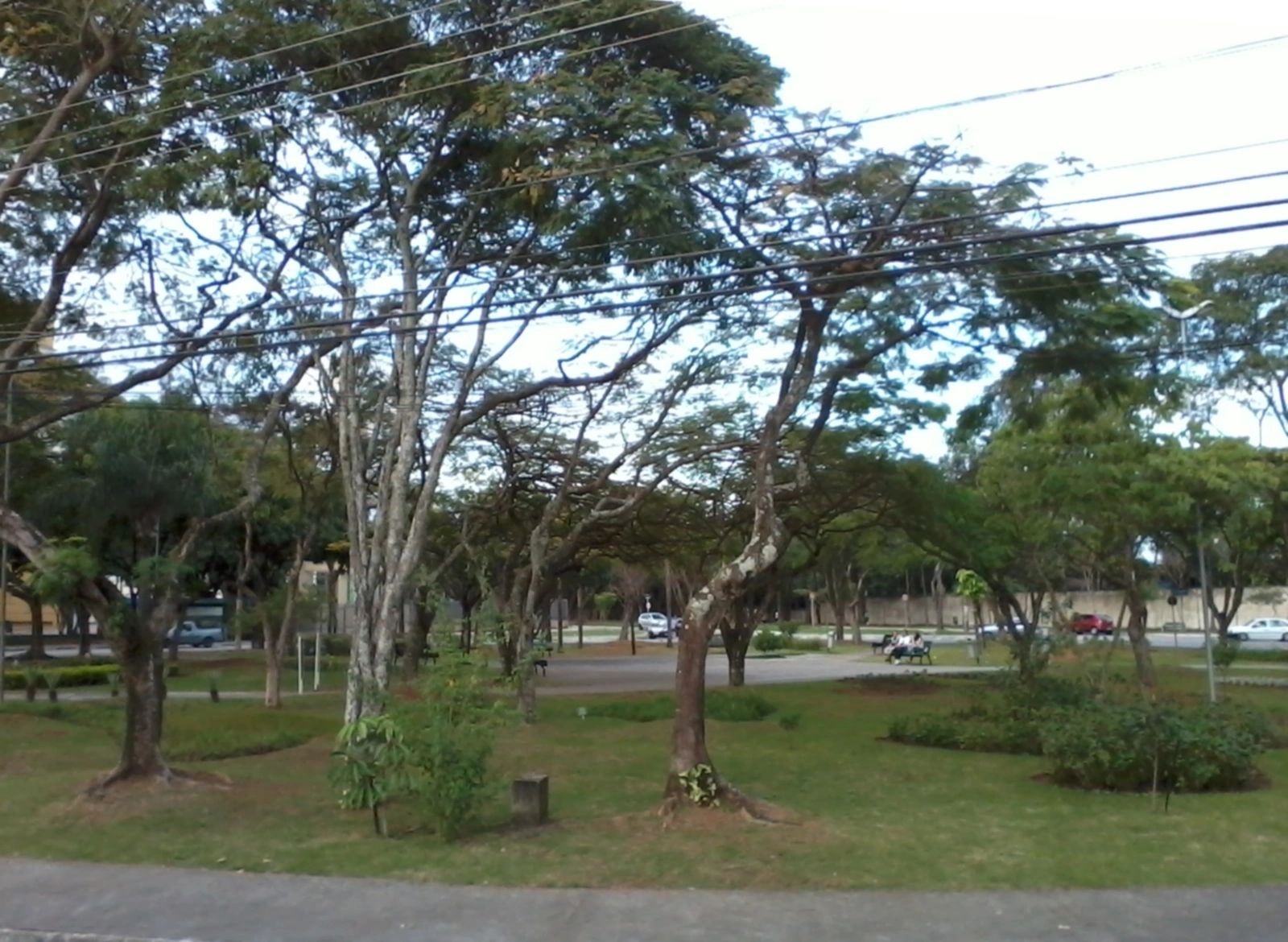Como é morar no bairro Bosque dos Eucaliptos?