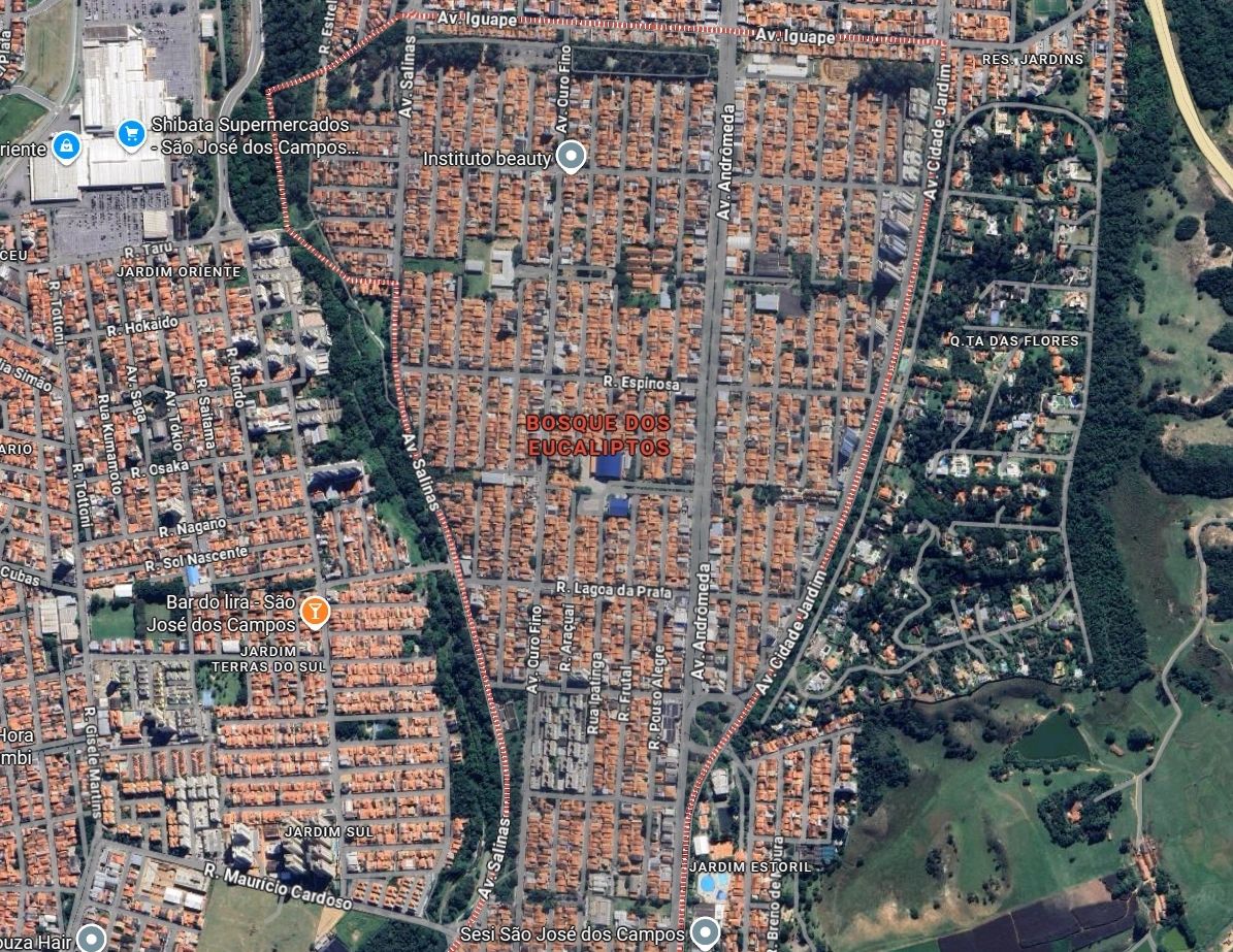 Bosque dos Eucaliptos: Por Que Investir Neste Bairro