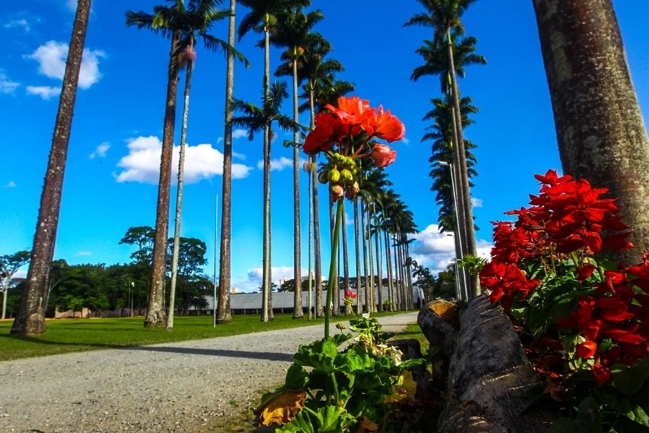 Jardim América em São José dos Campos: O Bairro Ideal para Compra