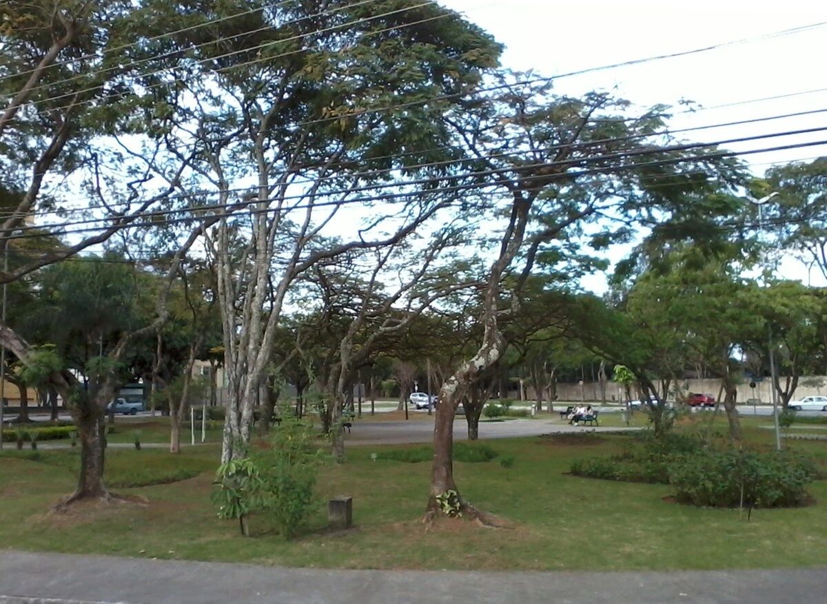 Bosque dos Eucaliptos: Por Que Investir Neste Bairro