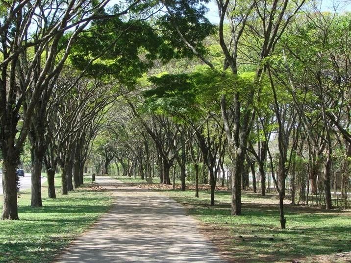Bairros de São José dos Campos, lista completa de cada região: