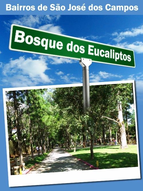 Como é morar no bairro Bosque dos Eucaliptos?